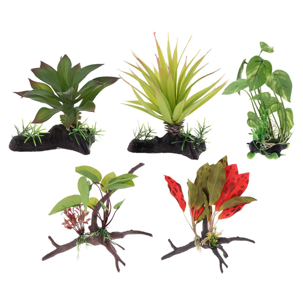 Aquarium Plant Vine - Tanaman Terarium Reptil, Dekorasi Tanaman Rambat