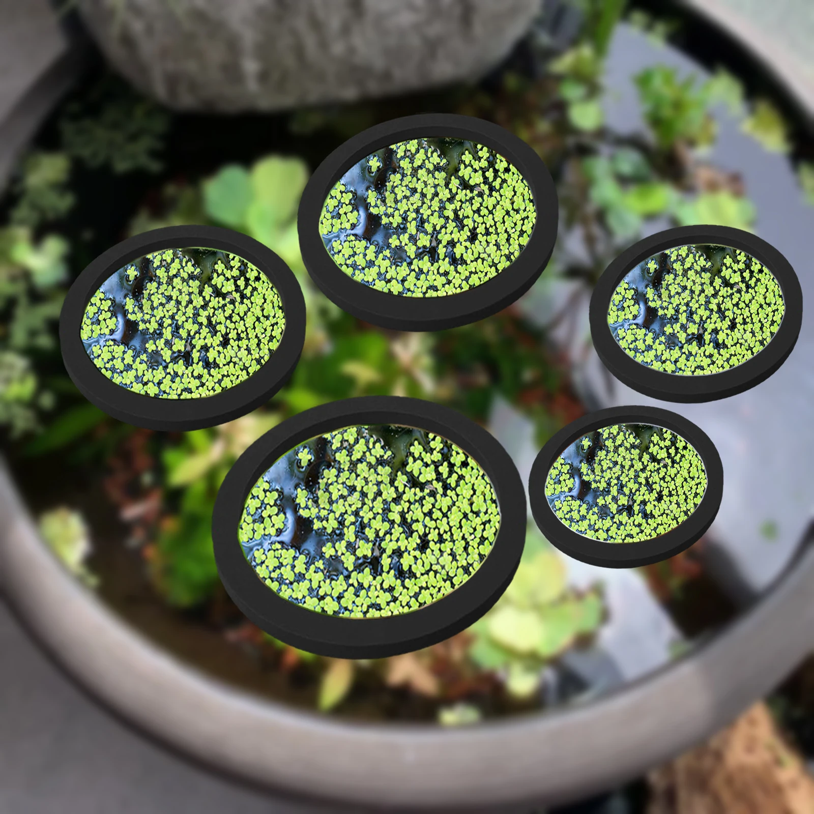 Aquarium Plant Original - 5 buah EVA cincin pemberi makan