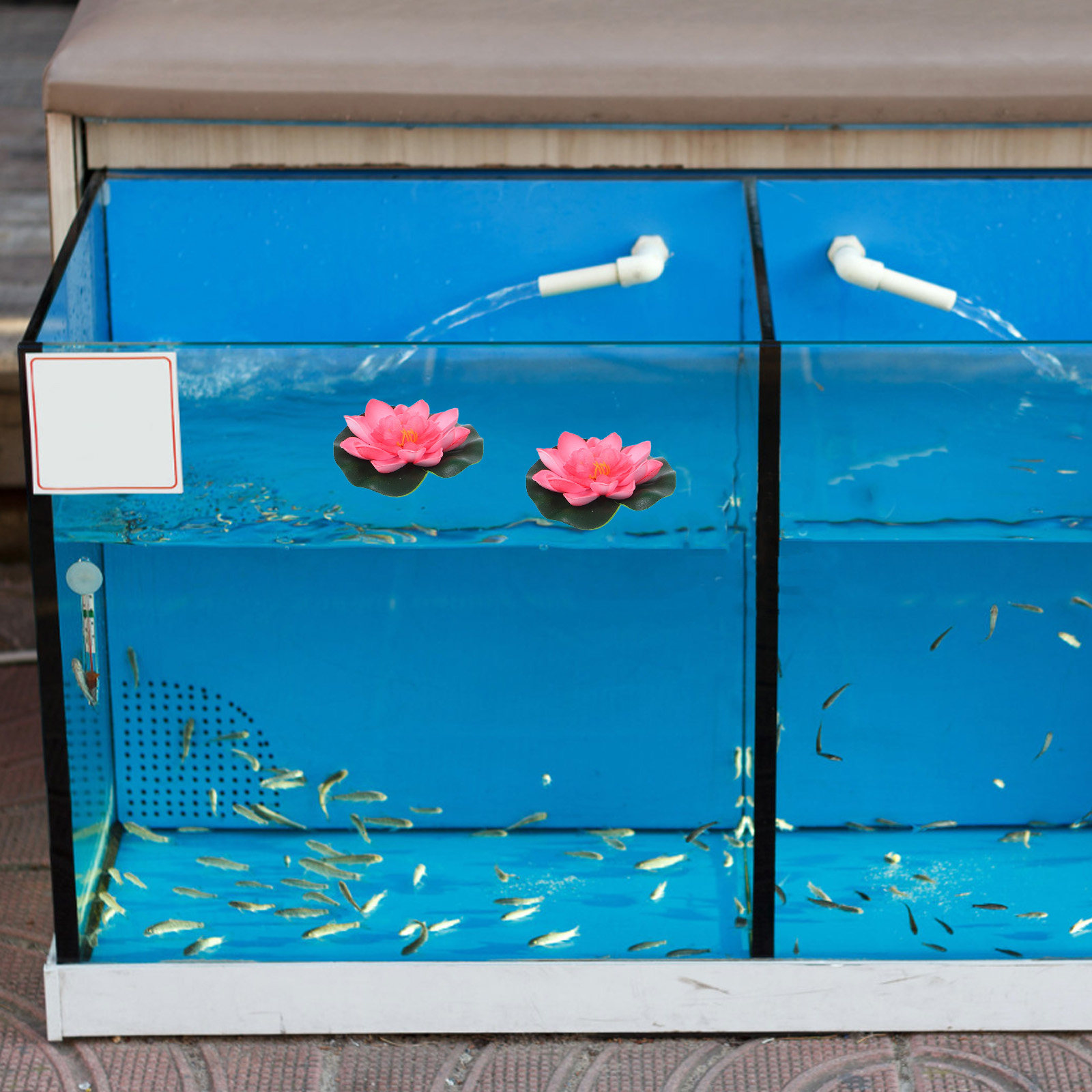 12 Buah Bunga Teratai Buatan u - Aquarium Plant Original ulasan dan harga