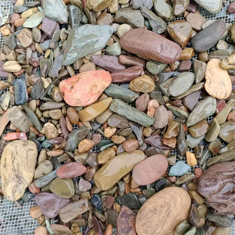 500G Tangki Ikan Bawah Batu Pa - Aquarium Planted Sand ulasan dan harga