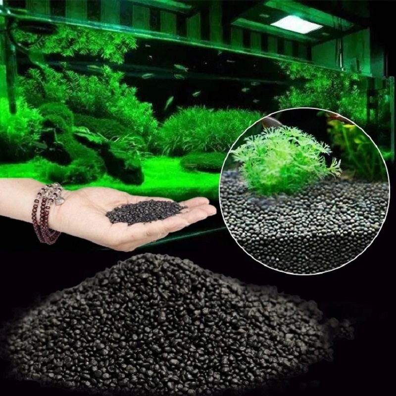 Tangki Ikan Air Rumput Lumpur  - Aquarium Planted Sand ulasan dan harga