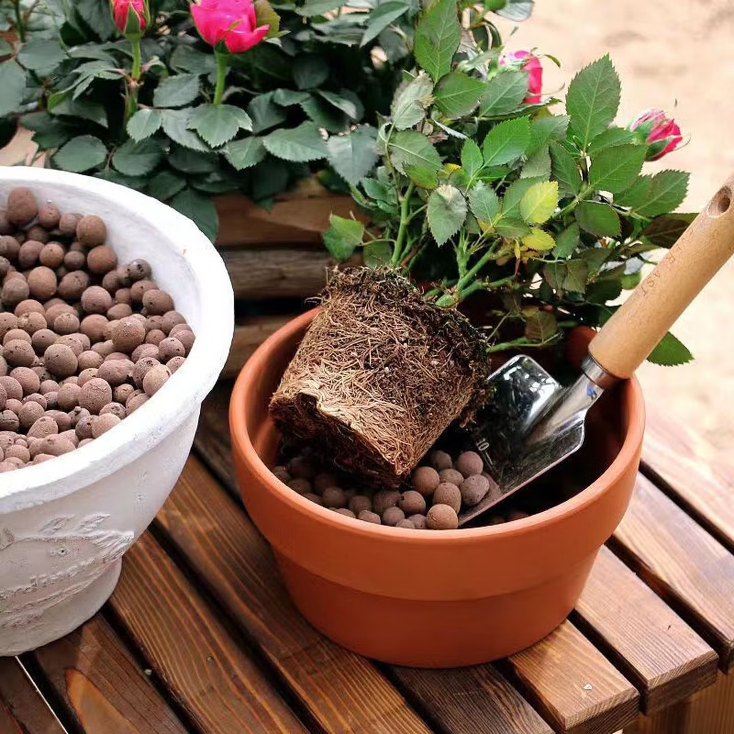 100-500g Batu Tanah Liat Hidro - Aquasoil Substrate ulasan dan harga
