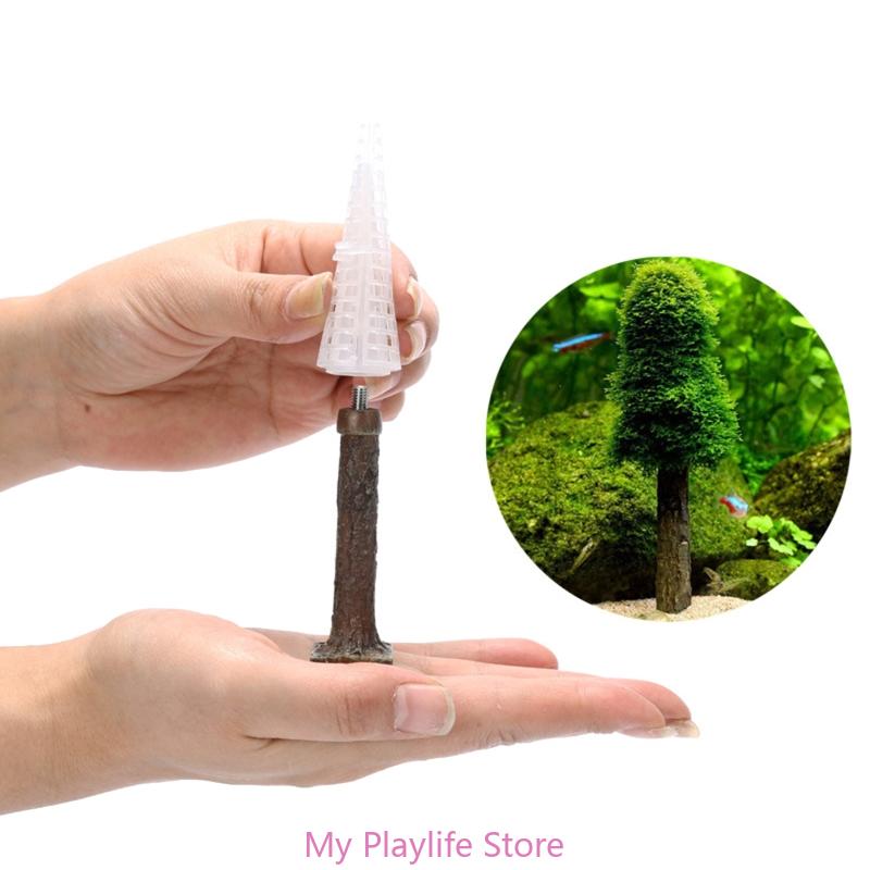 Akuarium lumut Dekorasi tangki - Planted Aquarium Mini ulasan dan harga