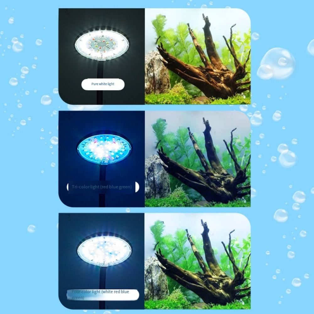 Lampu Klip Akuarium Mini Rotas - Planted Aquarium Mini ulasan dan harga