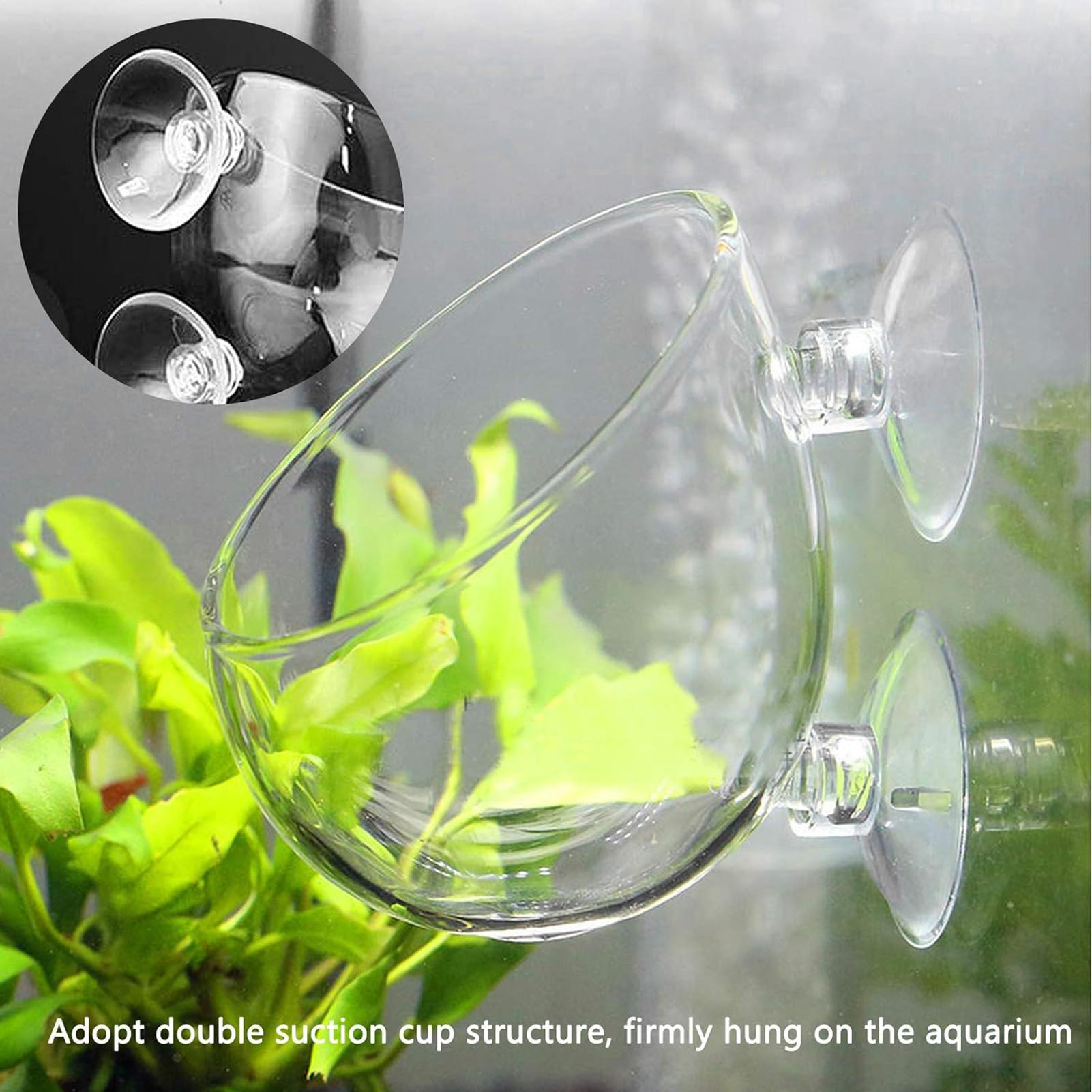 Pot Tanaman Kaca Akuarium deng - Aquarium Plant Vine ulasan dan harga