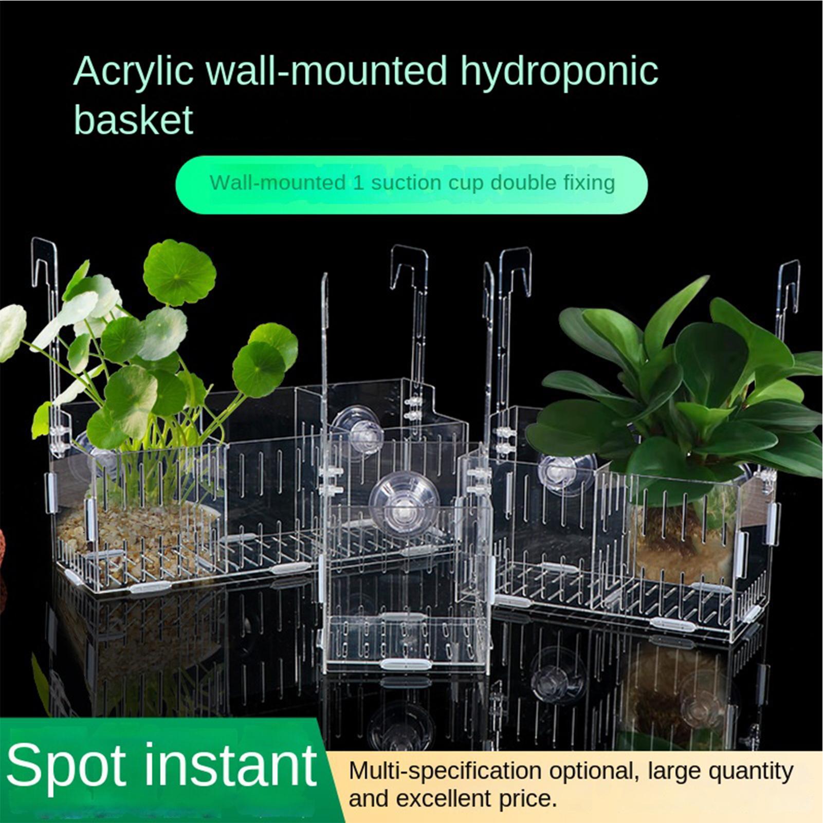 Penyangga Tanaman Akuarium Akr - Aquarium Plant Vine ulasan dan harga