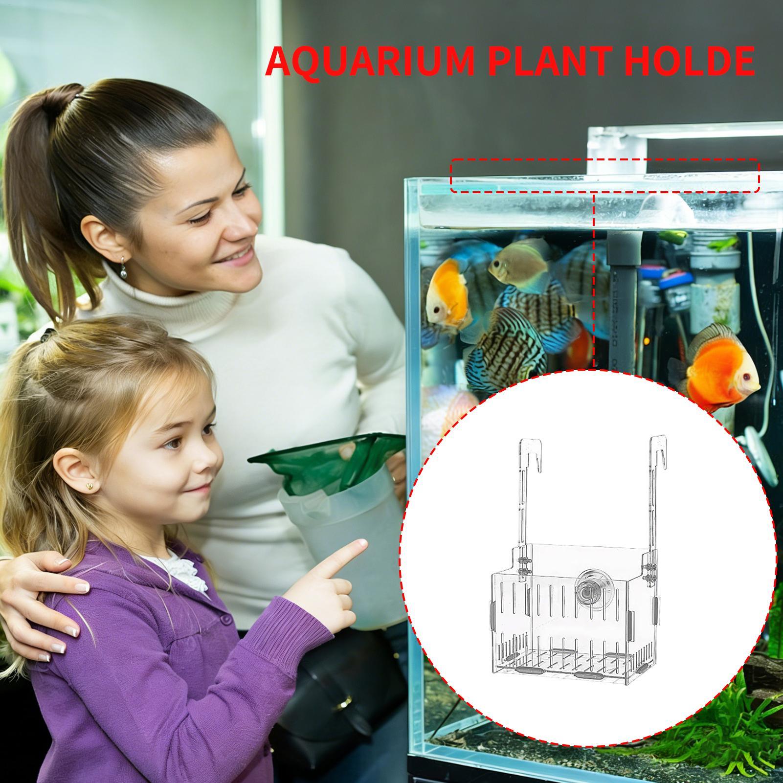 Penyangga Tanaman Akuarium Akr - Aquarium Plant Vine ulasan dan harga