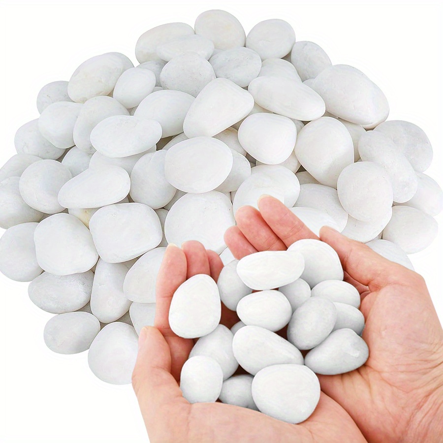 200/400g Batu Kerikil Putih Po - Aquarium Plant ulasan dan harga