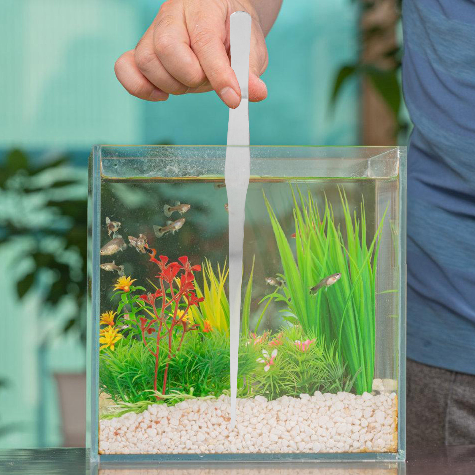 Pinset Tanaman Air Stainless S - Planted Aquarium With Gravel ulasan dan harga