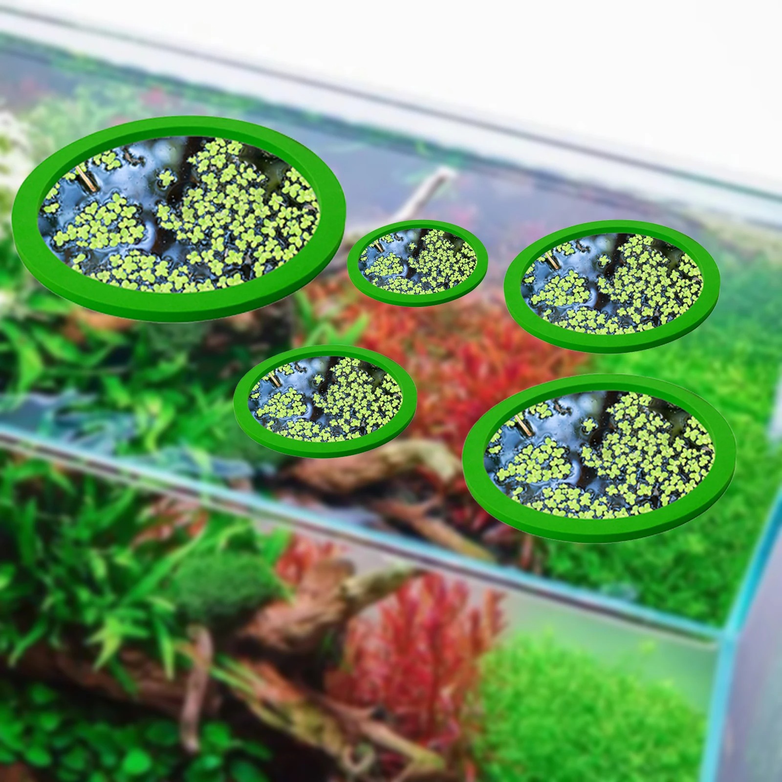 5 buah EVA cincin pemberi maka - Aquarium Plant Original ulasan dan harga