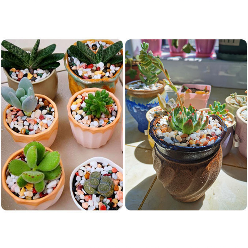 Batu Kerikil Alami 200 ~ 1000G - Aquarium Planted Sand ulasan dan harga