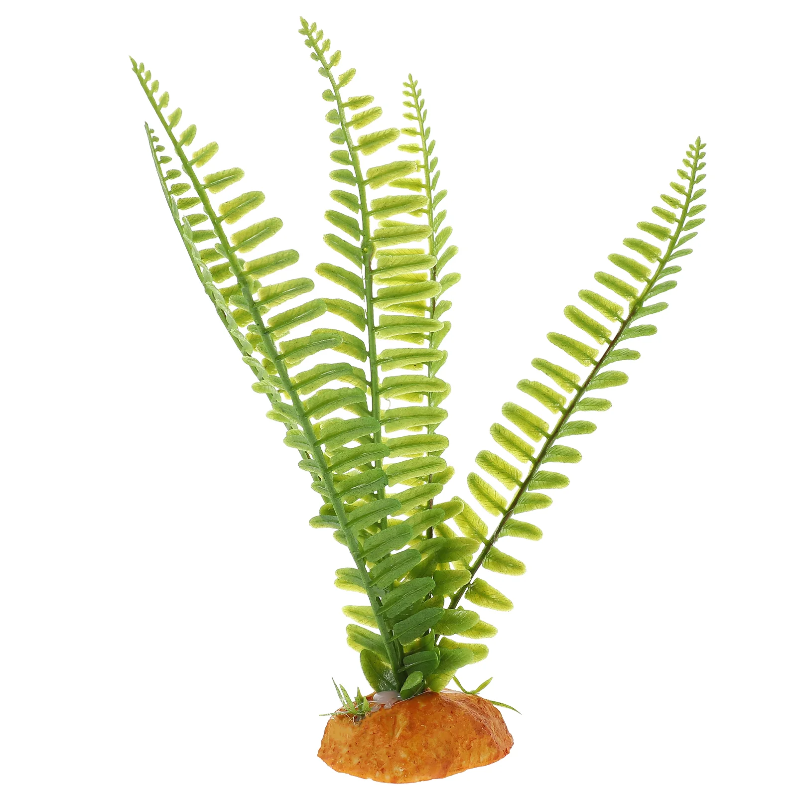 Tanaman Reptil Tanaman Meramba - Aquarium Plant Vine ulasan dan harga