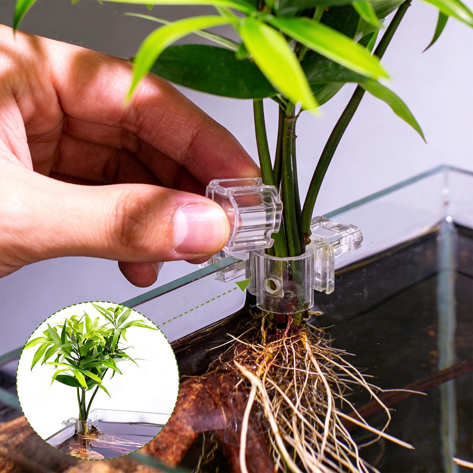 Pot Tanaman Mini untuk Akuariu - Planted Aquarium Mini ulasan dan harga