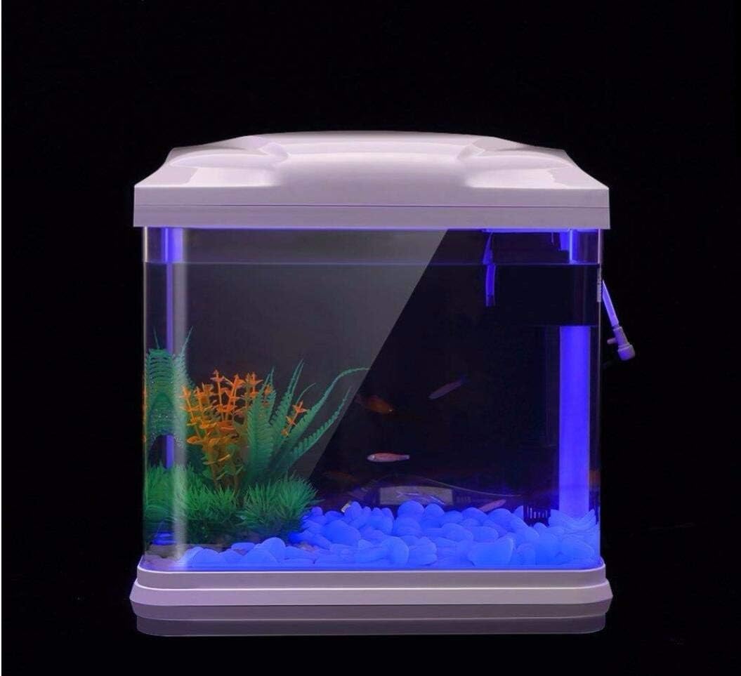 Batu Tangki Ikan Kerikil Biru  - Aquarium Plant Original ulasan dan harga