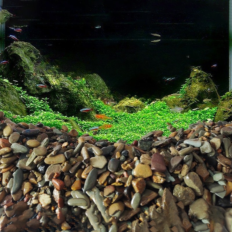 Pasir Dasar Akuarium Pebbles A - Aquarium Planted Sand ulasan dan harga
