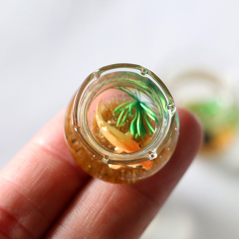 1 buah 1:12 simulasi rumah bon - Planted Aquarium Photos ulasan dan harga