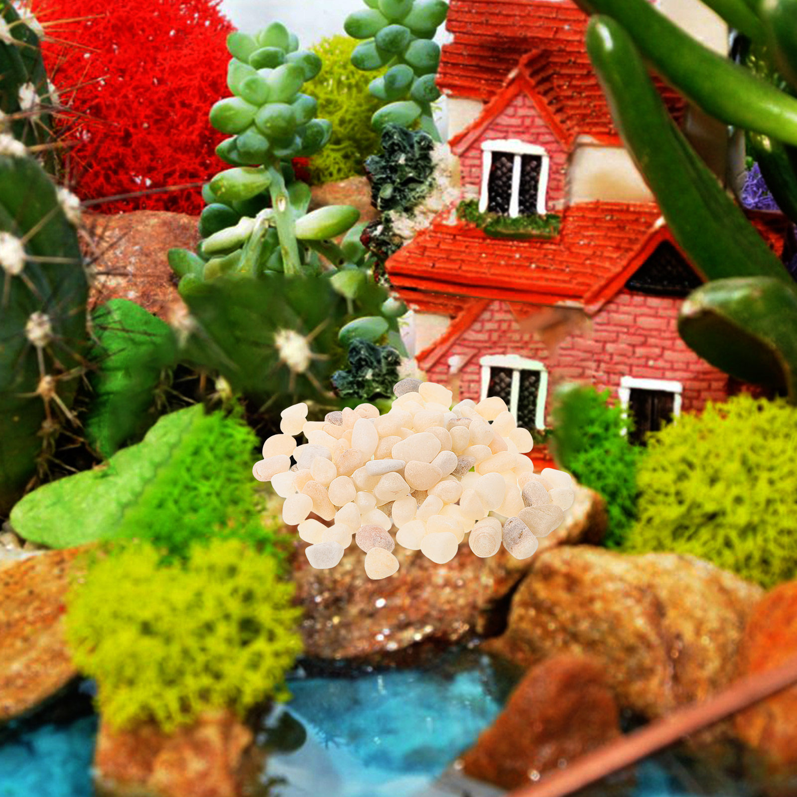 Kerikil Lanskap Alami untuk Ak - Planted Aquarium With Gravel ulasan dan harga