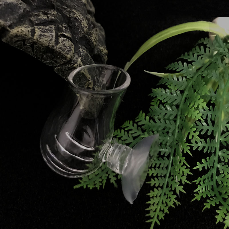 Dekorasi Akuarium Tangki Ikan  - Planted Aquarium Mini ulasan dan harga