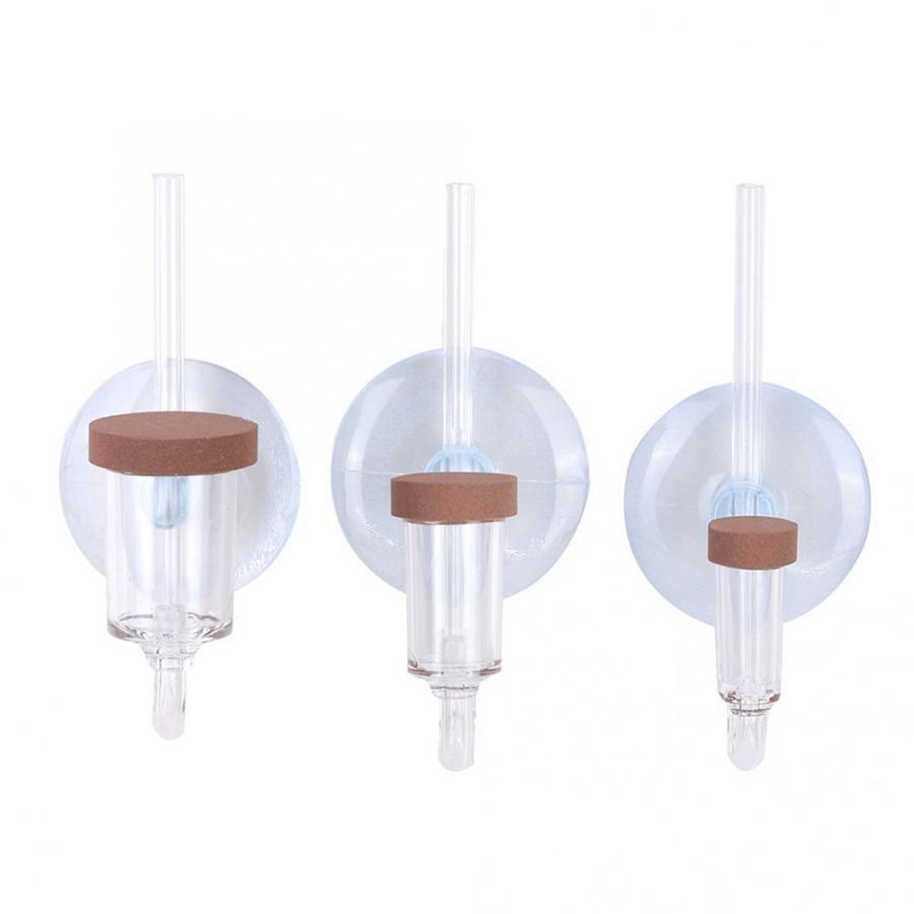 Akuarium Mini Akrilik Tanaman  - Planted Aquarium Co2 ulasan dan harga