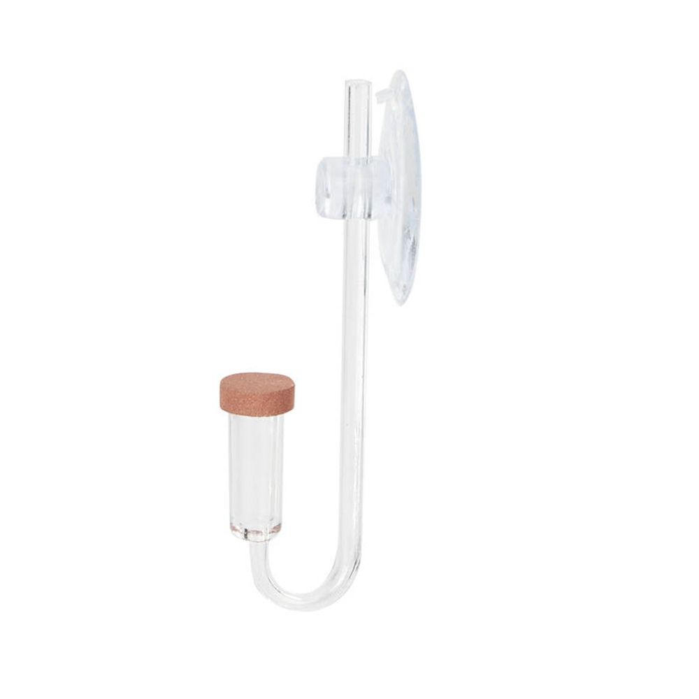 Akuarium Mini Akrilik Tanaman  - Planted Aquarium Co2 ulasan dan harga
