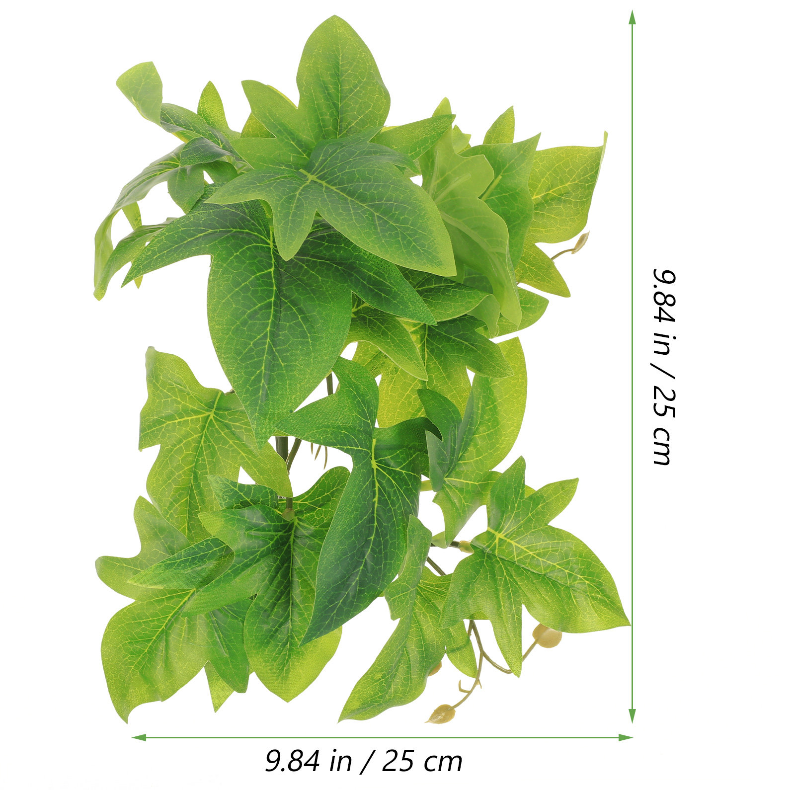 Tanaman Hias Dinding Terarium  - Aquarium Plant Vine ulasan dan harga